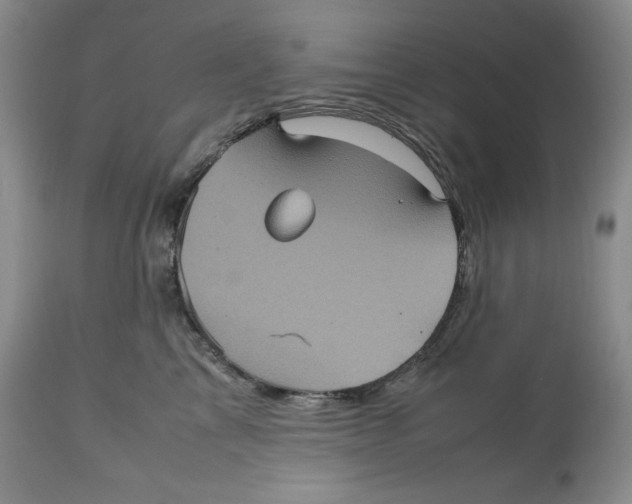 X0000112510713200909141200