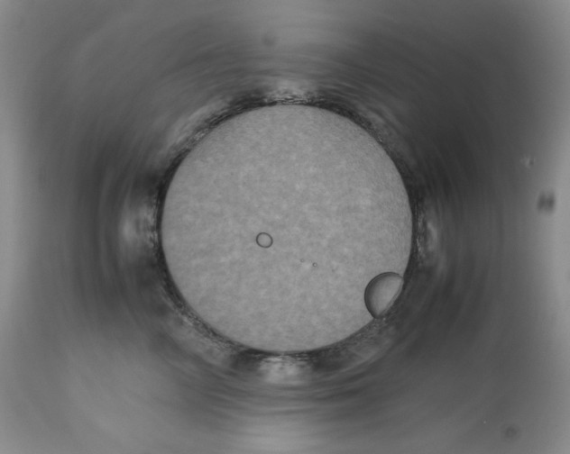 X0000112510714200909141200