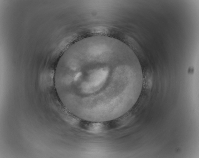 X0000112510717200909141200