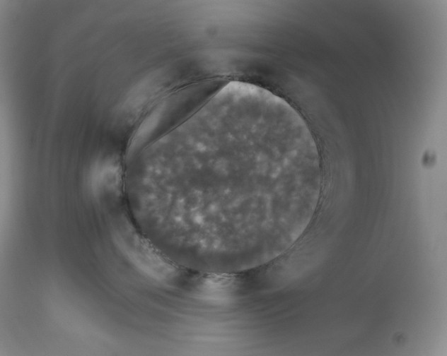 X0000112510720200909141159