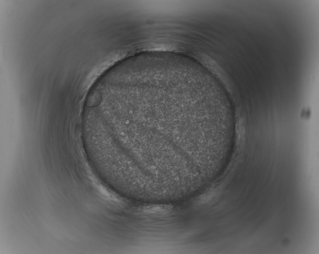 X0000112510721200909141159