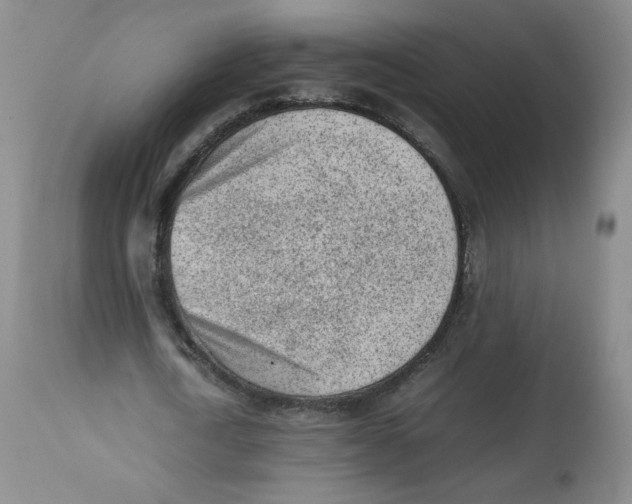 X0000112510722200909141159