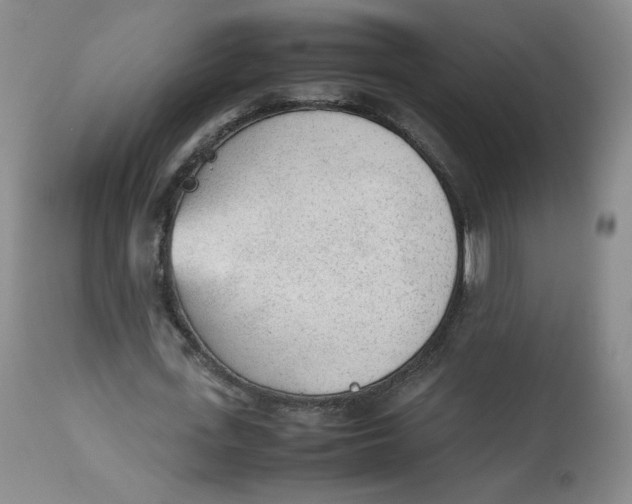 X0000112510723200909141159