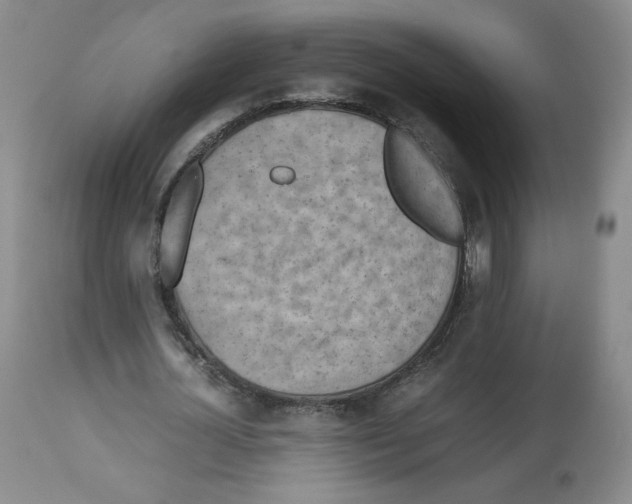 X0000112510724200909141159