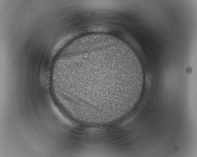 X0000112510725200909141159