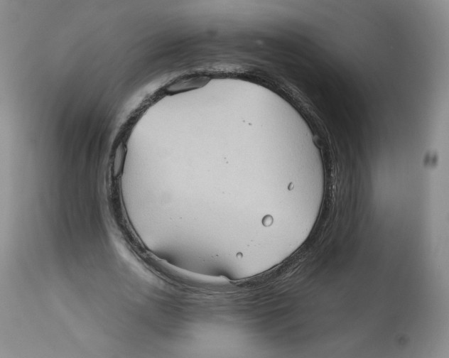 X0000112510726200909141159