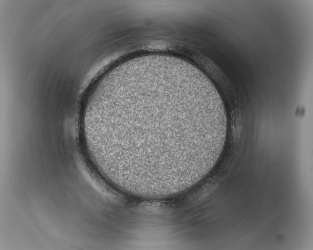 X0000112510728200909141159