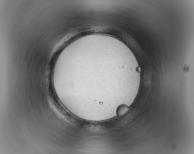 X0000112510730200909141159