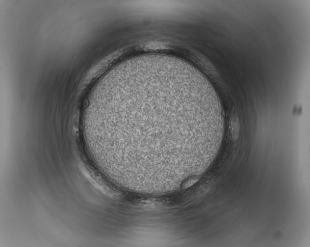 X0000112510732200909141159