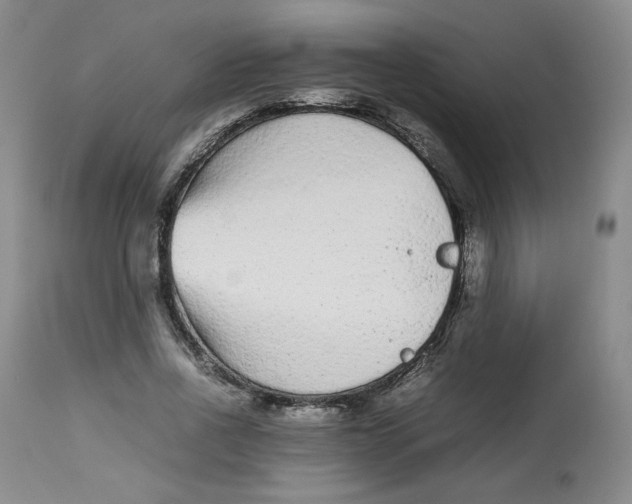 X0000112510734200909141159