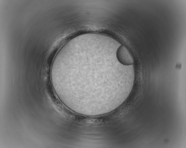 X0000112510736200909141159