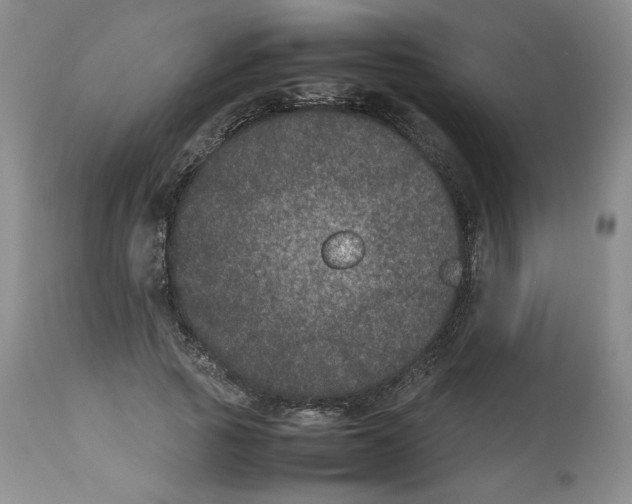 X0000112510737200909141159