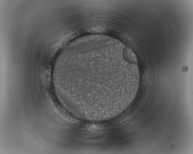 X0000112510739200909141159