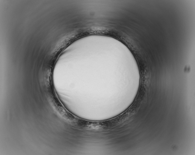 X0000112510742200909141159