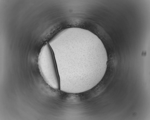 X0000112510750200909141159