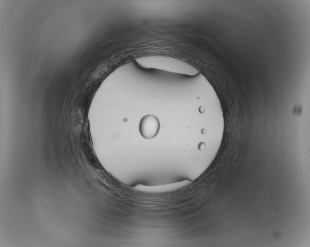 X0000112510752200909141159