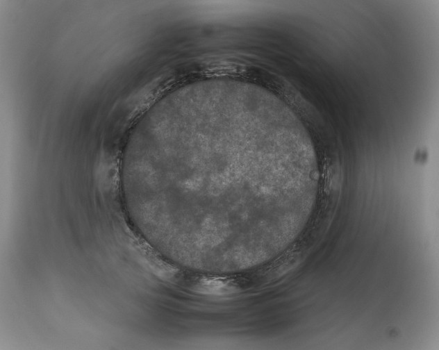 X0000112510753200909141159