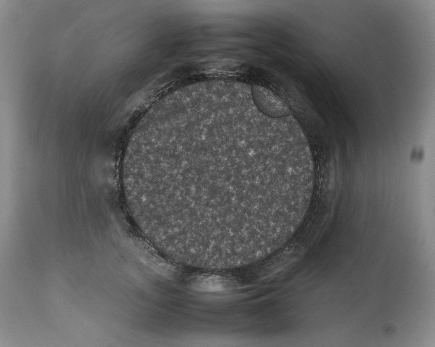 X0000112510755200909141159