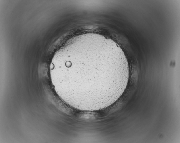 X0000112510758200909141159