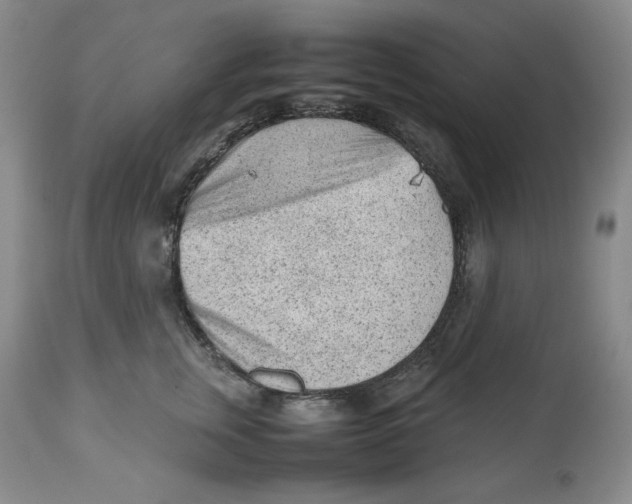 X0000112510759200909141159