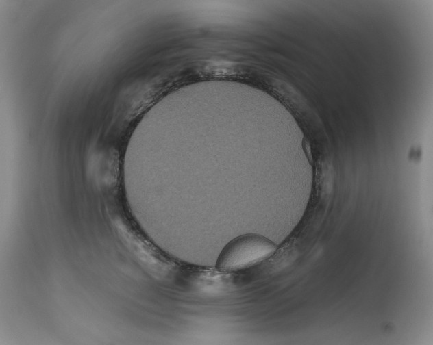 X0000112510760200909141159