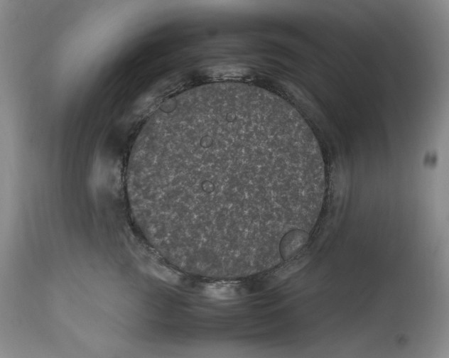 X0000112510761200909141159