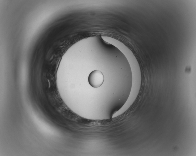 X0000112510764200909141159