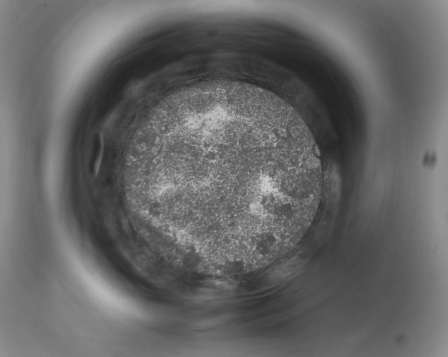 X0000112510765200909141159