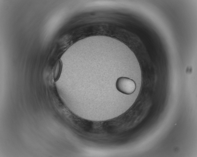 X0000112510766200909141159