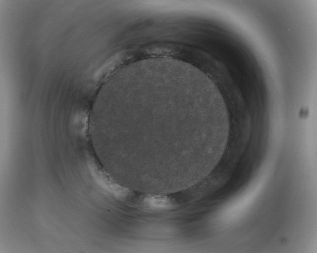 X0000112510767200909141159