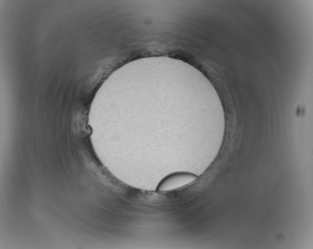 X0000112510768200909141159