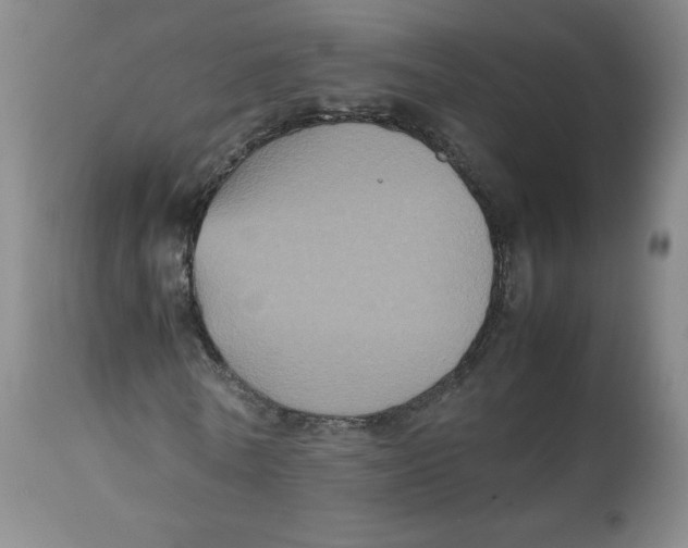 X0000112510770200909141159