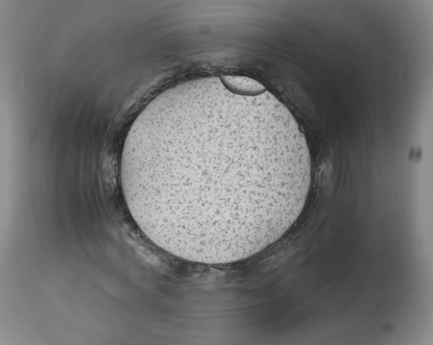 X0000112510772200909141159