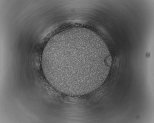 X0000112510774200909141159