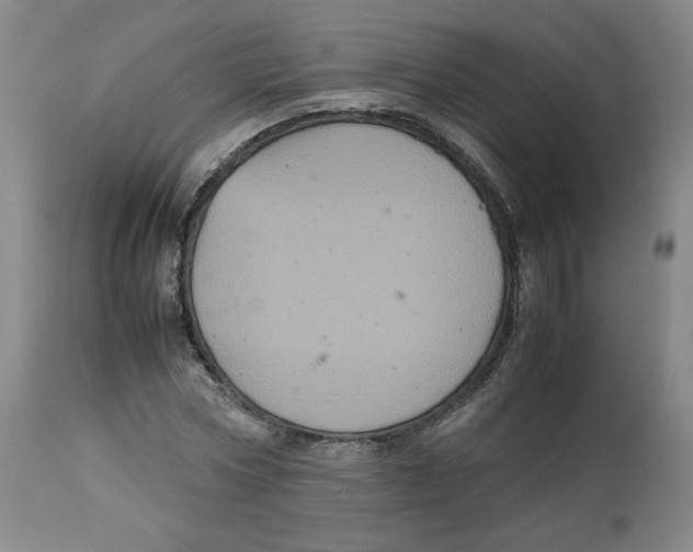 X0000112510778200909141159