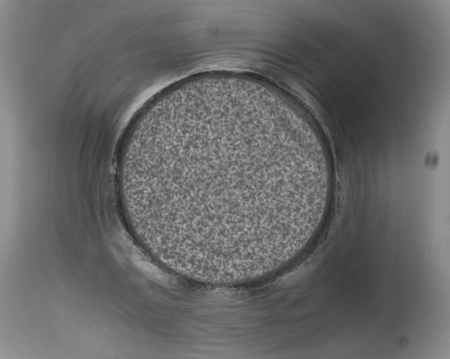 X0000112510779200909141159