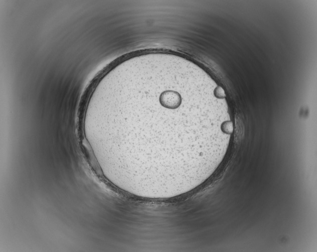 X0000112510780200909141159