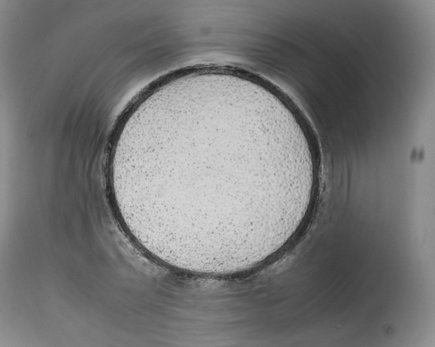 X0000112510783200909141159