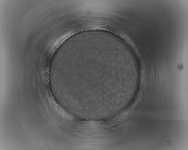 X0000112510785200909141158