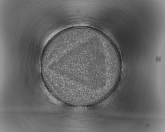 X0000112510789200909141158