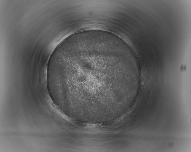 X0000112510790200909141158