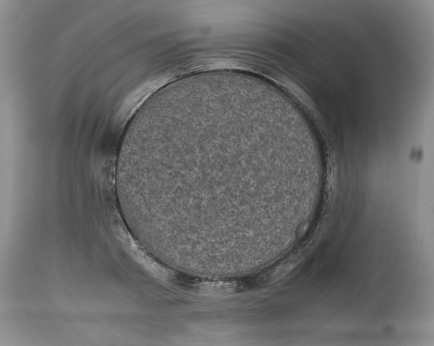 X0000112510793200909141158