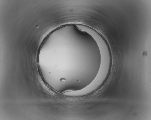 X0000112510797200909141158