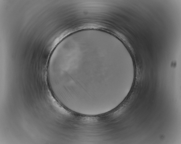 X0000112510802200909141158