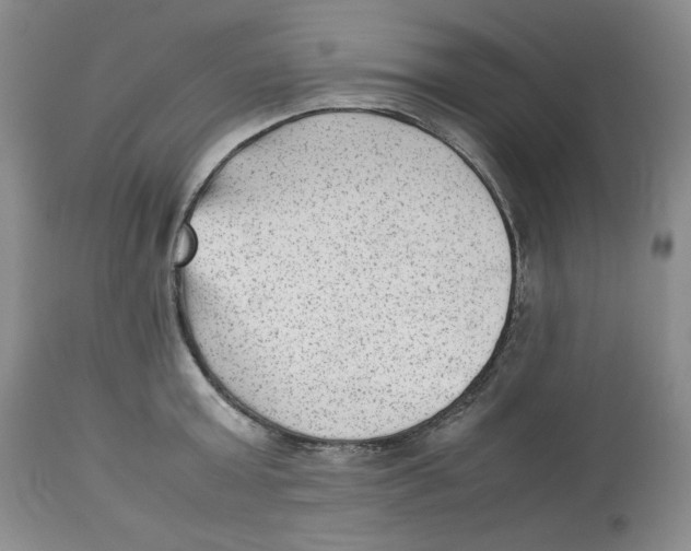 X0000112510803200909141158