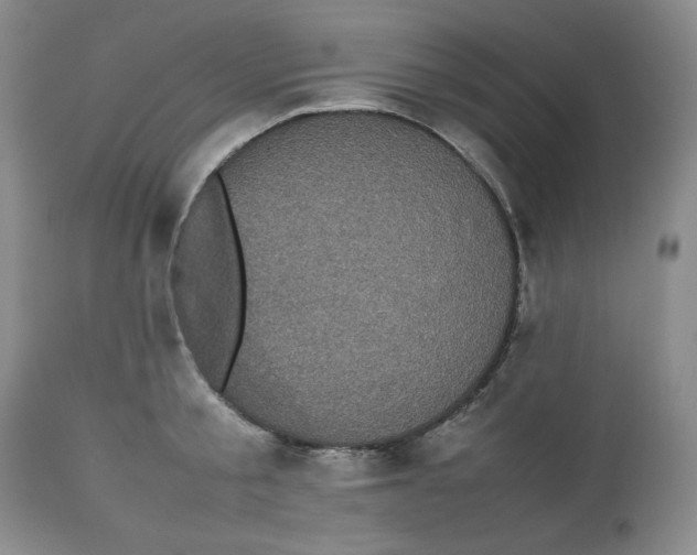 X0000112510805200909141158