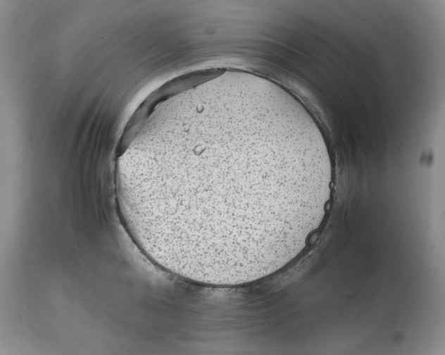 X0000112510808200909141158