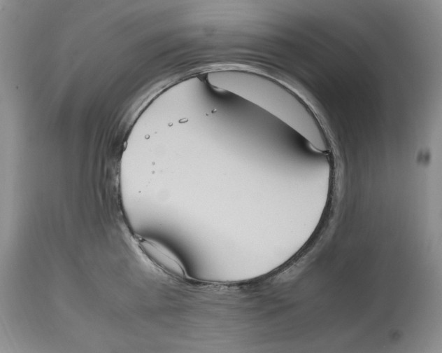 X0000112510809200909141158