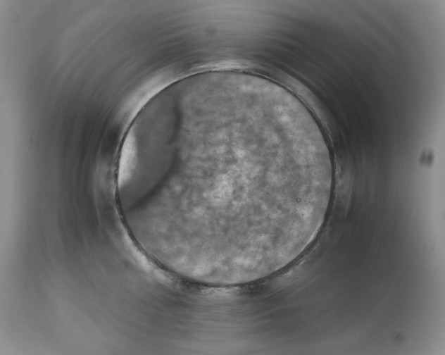 X0000112510810200909141158