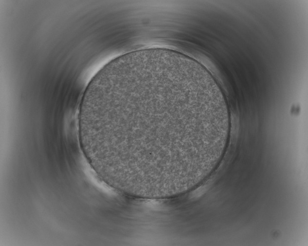 X0000112510814200909141158